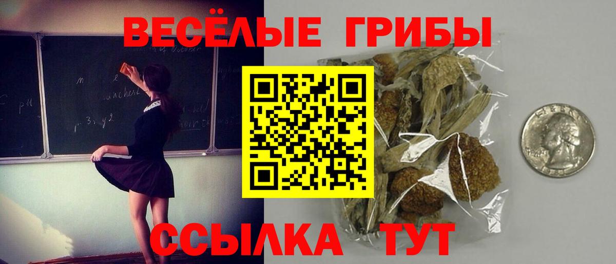 Псилоцибиновые грибы MAGIC MUSHROOMS  Псилоцибиновые грибы MAGIC MUSHROOMS  Вход с VPN  Ульяновск 
